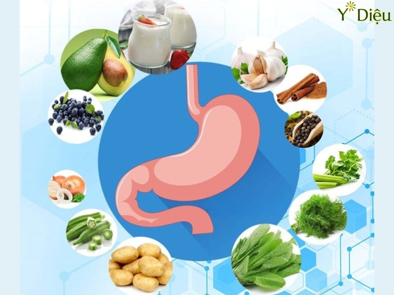 Bí Quyết Giảm Đau Dạ Dày Hiệu Quả, An Toàn Ngay Tại Nhà